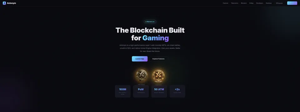 Antonym Blockchain website designed by BlueFusion WebDev